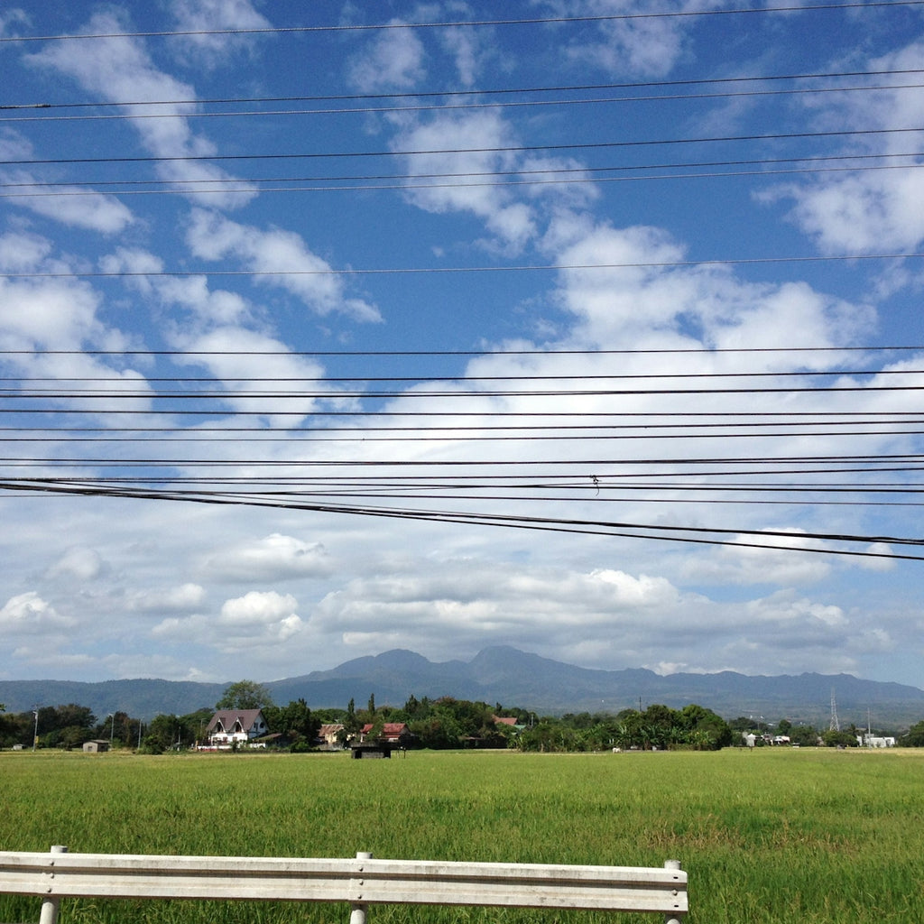 a wooden bench sitting in a lush green field