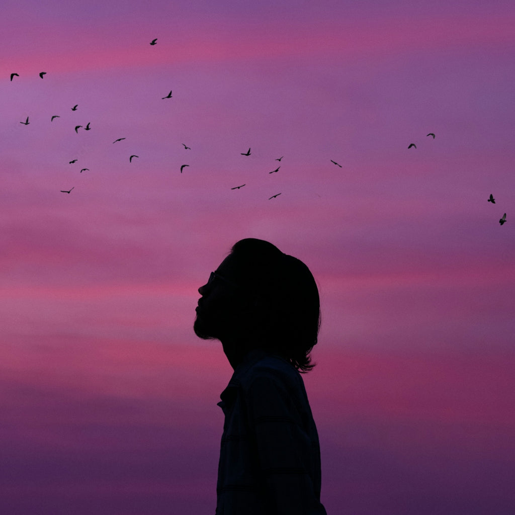 A person standing in front of a flock of birds
