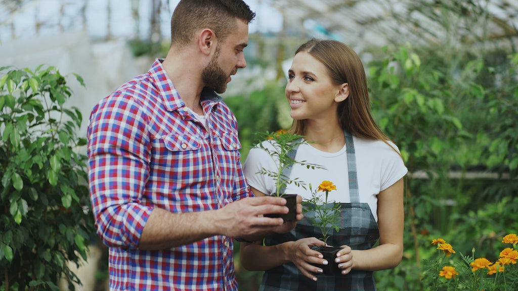 Couple holding potted plants in a garden center