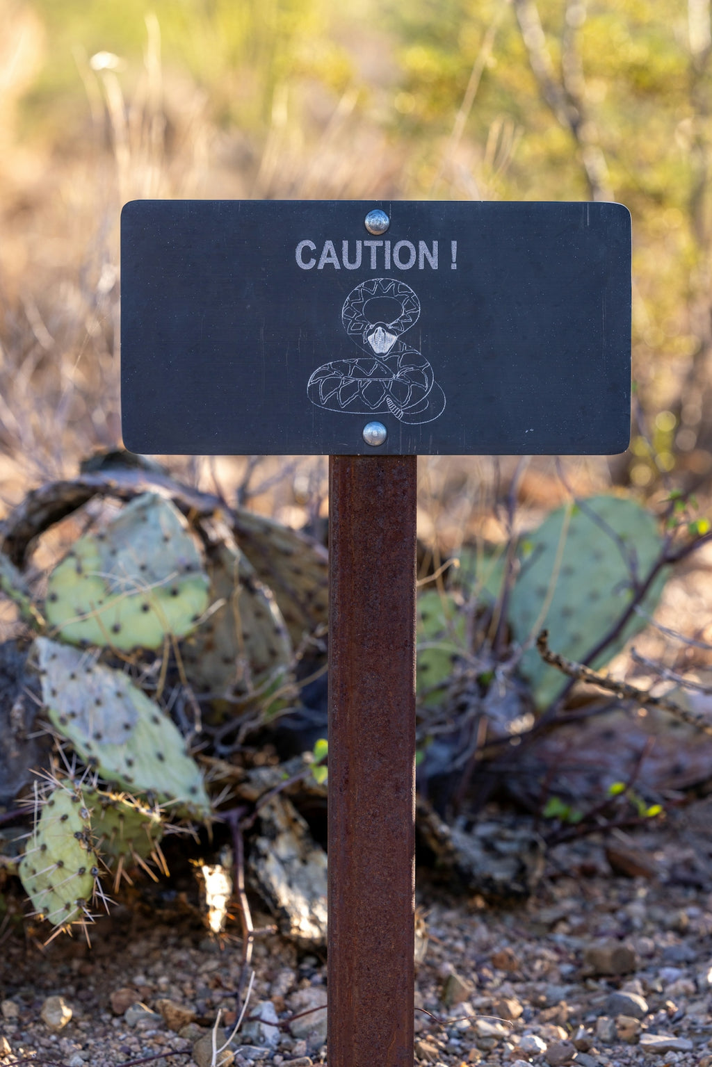 Caution sign with snake symbol in desert setting