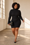 Courtney | Sleek Ribbed Turtleneck Dress