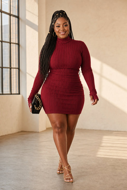 Courtney | Sleek Ribbed Turtleneck Dress