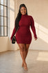 Courtney | Sleek Ribbed Turtleneck Dress
